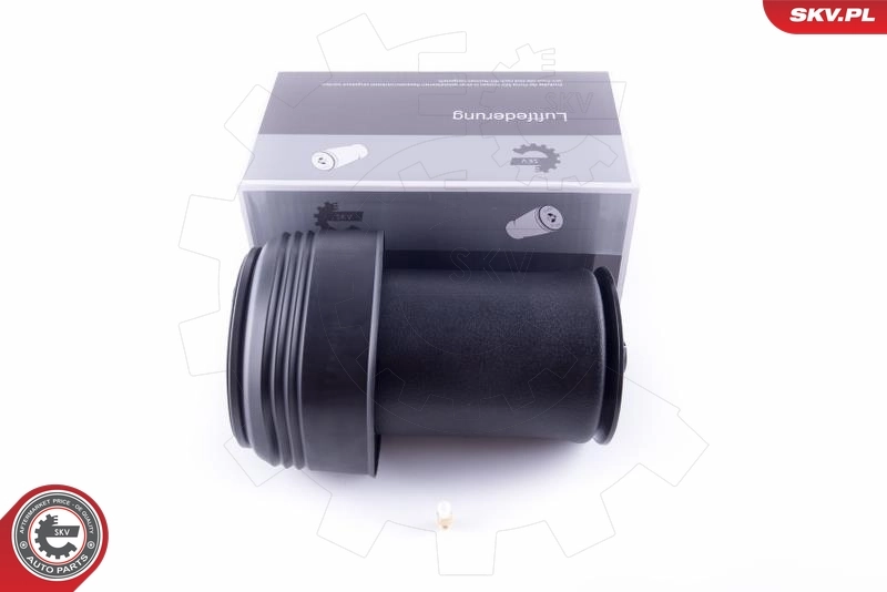 Air Spring, suspension